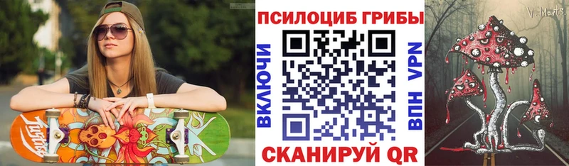 купить наркотик  Заречный  Псилоцибиновые грибы Cubensis 